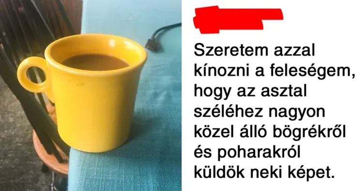 A házasság és a háború meghökkentő harmóniája: 20 megdöbbentő fotó