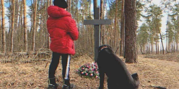 Hihetetlen találkozás: Nő és kutyája egy kisfiúval találkoznak egy temetőben