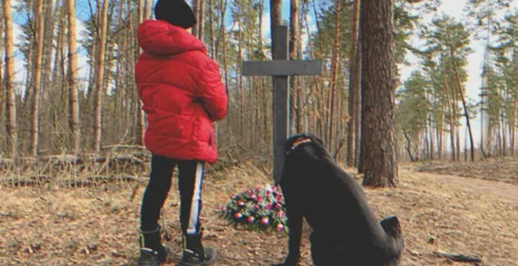 Hihetetlen találkozás: Nő és kutyája egy kisfiúval találkoznak egy temetőben