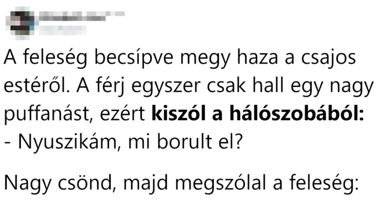 Vicc: A feleség becsípve megy haza