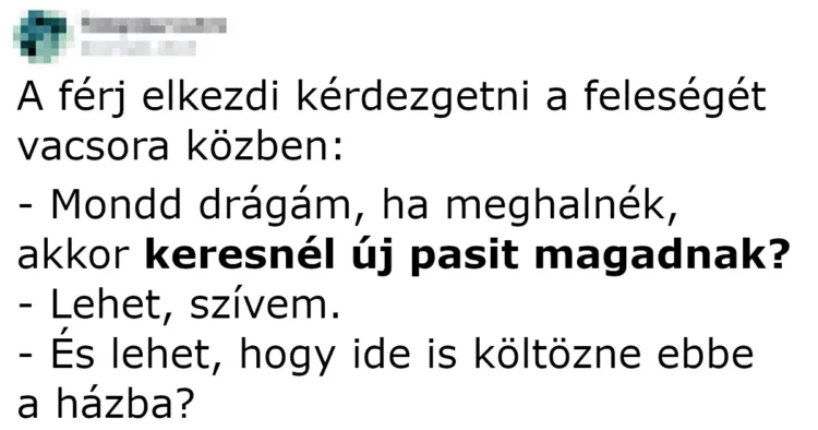 Vicc: A férj elkezdi kérdezgetni a feleségét