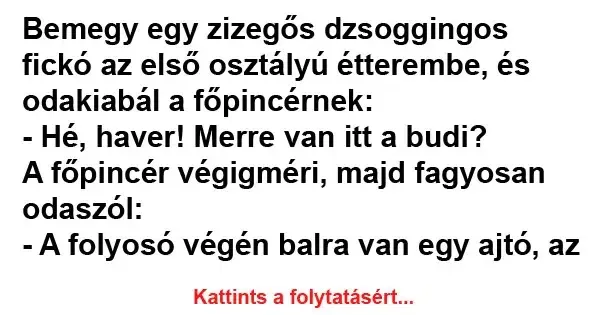 Vicc: A főpincér végigméri, majd fagyosan odaszól: