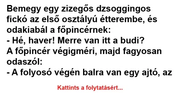 Vicc: A főpincér végigméri, majd fagyosan odaszól: