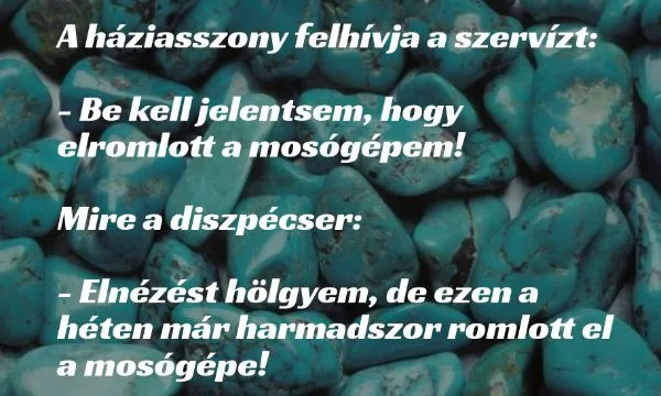 Vicc: A háziasszony felhívja a szervízt:  Be kell jelentsem, hogy …