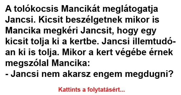 Vicc: A tolókocsis Mancikát meglátogatja Jancsi