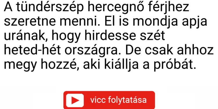 Vicc: A tündérszép hercegnő férjhez szeretne menni