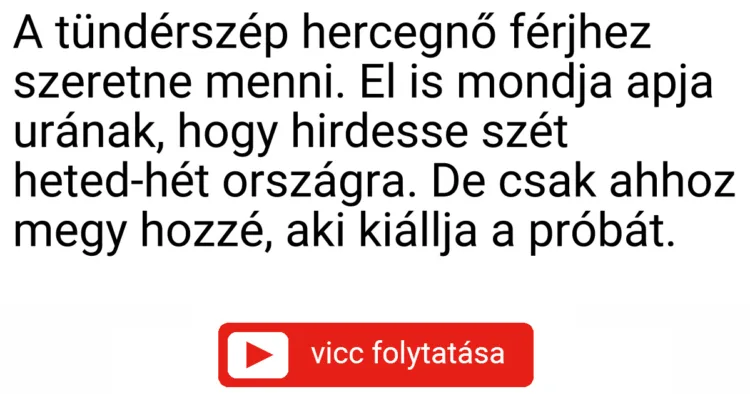 Vicc: A tündérszép hercegnő férjhez szeretne menni