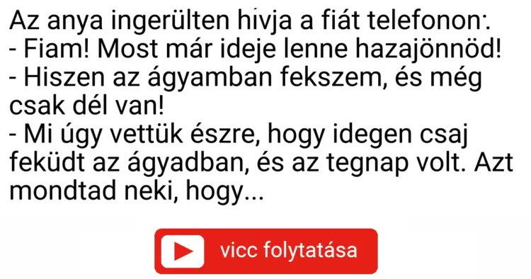 Vicc: Az anya ingerülten hívja a fiát telefonon