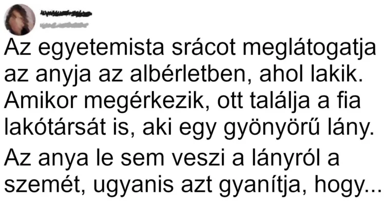 Vicc: Az egyetemista srácot meglátogatja az anyja