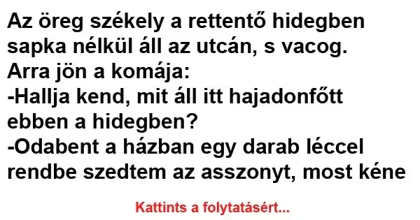 Vicc: Az öreg székely a rettentő hidegben sapka nélkül áll az utcán