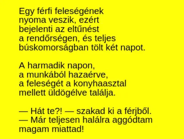 Vicc: Egy férfi feleségének nyoma veszik