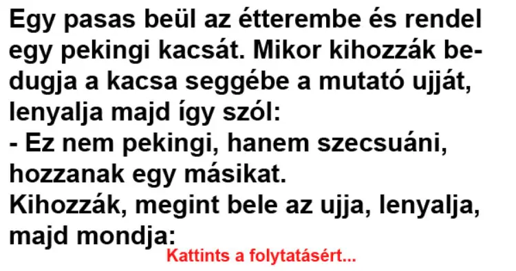 Vicc: Egy pasas beül az étterembe és rendel egy pekingi kacsát