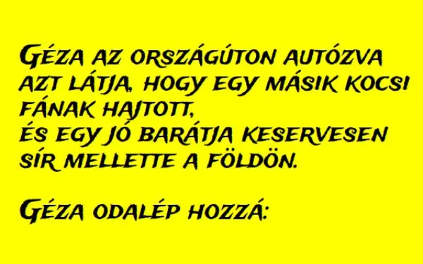 Vicc: Géza az országúton autózva azt látja, hogy egy másik kocsi fának…