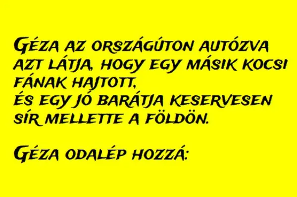 Vicc: Géza az országúton autózva azt látja, hogy egy másik kocsi fának…