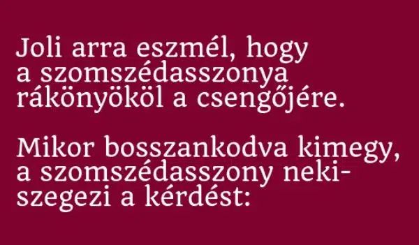 Vicc: Joli arra eszmél, hogy a szomszédasszonya rákönyököl a…