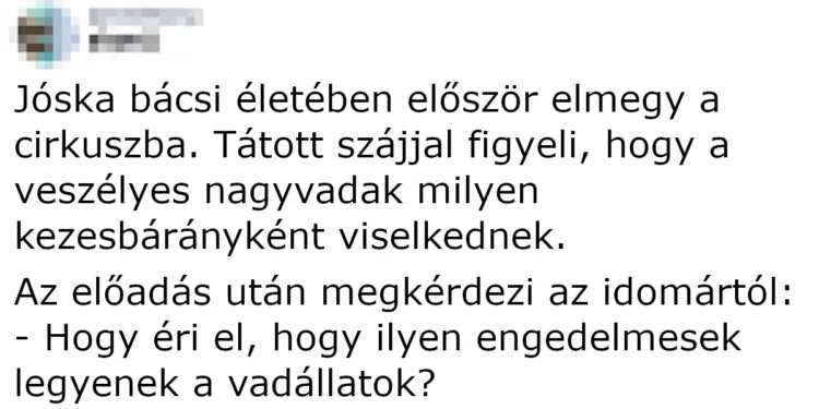 Vicc: Jóska bácsi életében először elmegy a cirkuszba