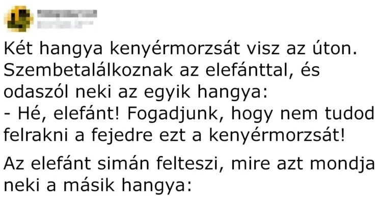 Vicc: Két hangya kenyérmorzsát visz az úton