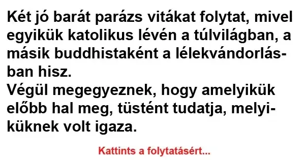 Vicc: Két jó barát parázs vitákat folytat