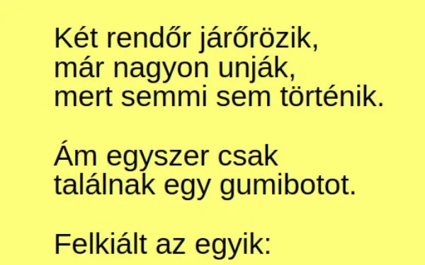 Vicc: Két rendőr járőrözik, már nagyon unják, mert semmi sem történik….