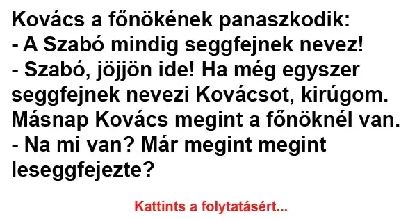 Vicc: Kovács a főnökének panaszkodik