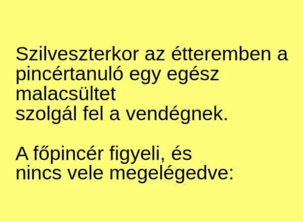 Vicc: Szilveszterkor az étteremben a  pincértanuló egy egész…