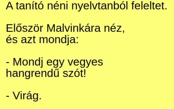 Vicc: VICC: A tanító néni nyelvtanból feleltet. Először Malvinkára néz, és…