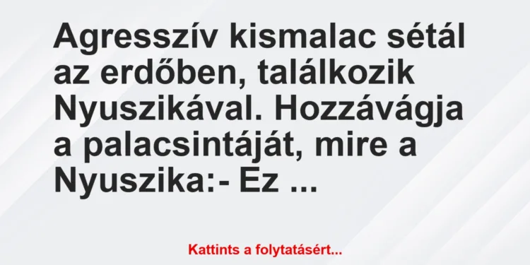 Vicc: Agresszív kismalac sétál az erdőben, találkozik Nyuszikával….