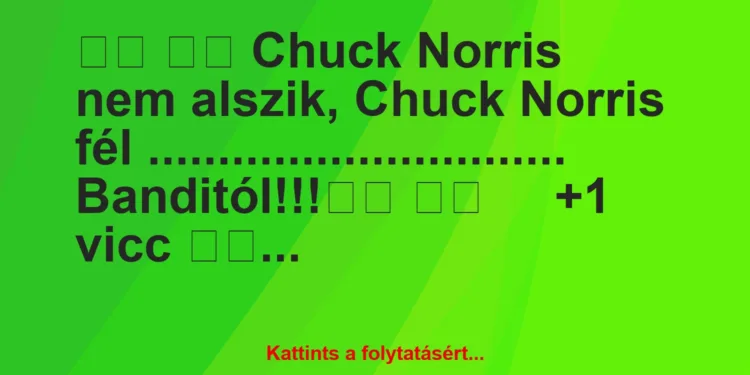 Vicc:
Chuck Norris nem alszik, Chuck Norris fél…