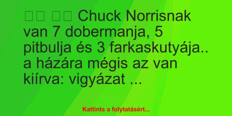 Vicc:
Chuck Norrisnak van 7 dobermanja, 5 pitbulja és 3…