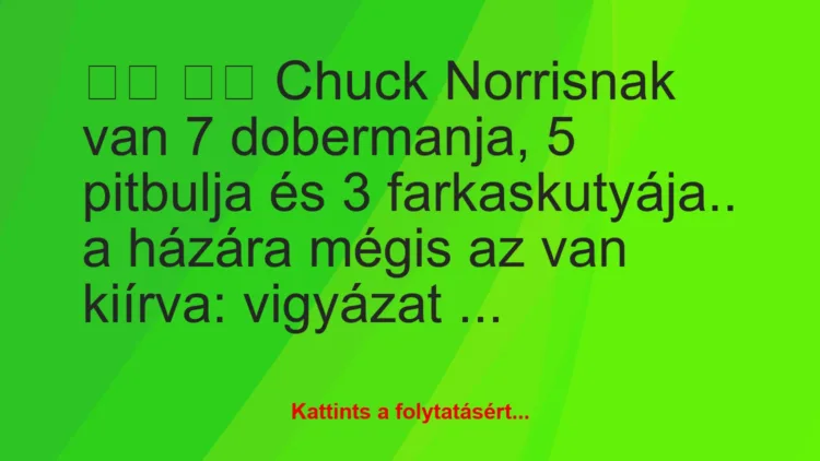 Vicc:
Chuck Norrisnak van 7 dobermanja, 5 pitbulja és 3…