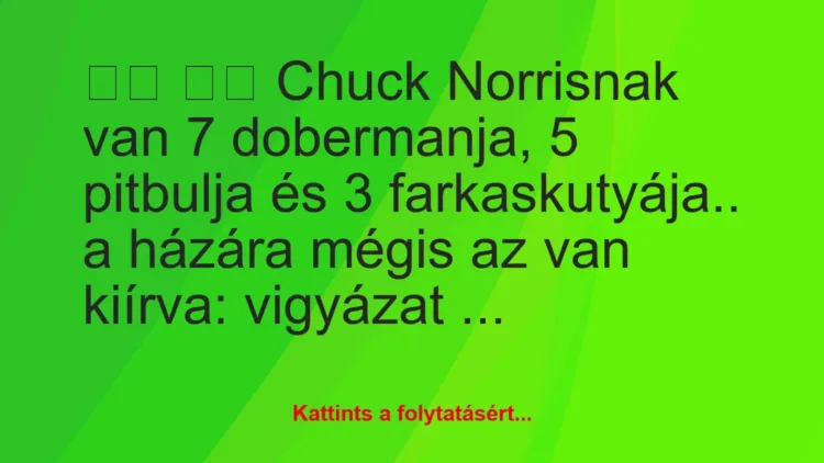 Vicc: 
		  
		  Chuck Norrisnak van 7 dobermanja, 5 pitbulja és 3…