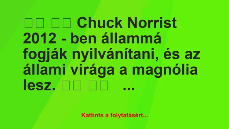 Vicc:
Chuck Norrist 2012 – ben állammá fogják…