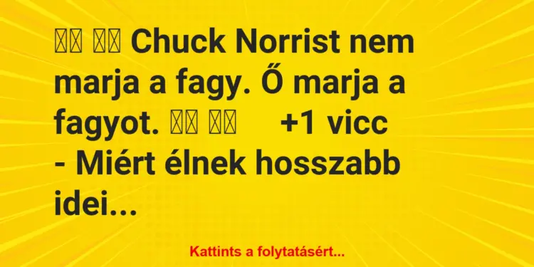 Vicc:
Chuck Norrist nem marja a fagy. Ő marja a fagyot….