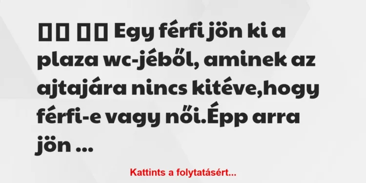 Vicc:
Egy férfi jön ki a plaza wc-jéből, aminek az…