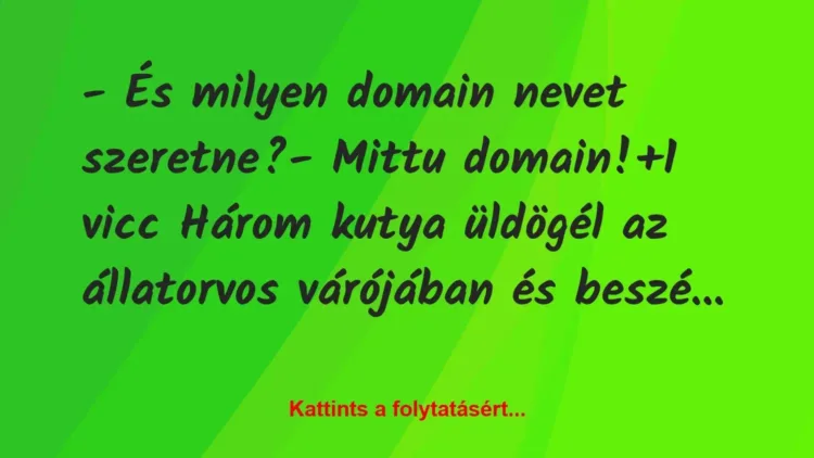 Vicc: – És milyen domain nevet szeretne?

– Mittu domain!