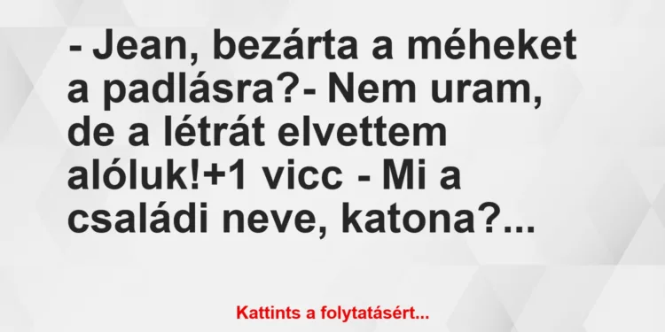 Vicc: – Jean, bezárta a méheket a padlásra?– Nem uram, de a létrát…