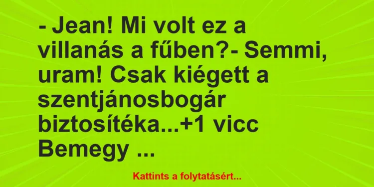 Vicc: – Jean! Mi volt ez a villanás a fűben?– Semmi, uram! Csak…