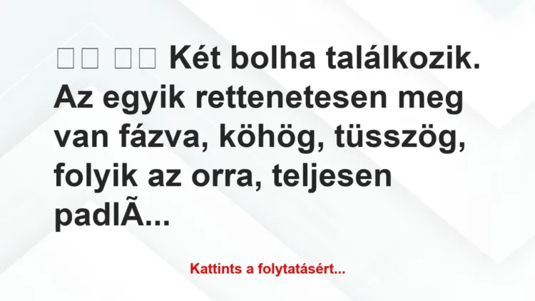 Vicc: 
		  
		  Két bolha találkozik. Az egyik rettenetesen meg…