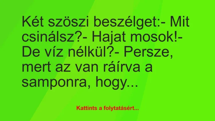 Vicc: Két szöszi beszélget:

– Mit csinálsz?

– Hajat mosok!

-…