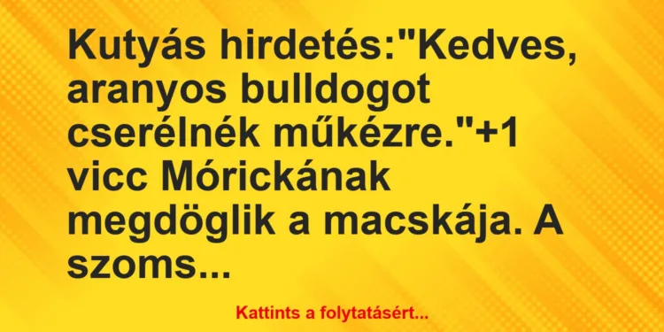 Vicc: Kutyás hirdetés:“Kedves, aranyos bulldogot cserélnék műkézre.”