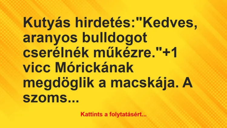 Vicc: Kutyás hirdetés:“Kedves, aranyos bulldogot cserélnék műkézre.”