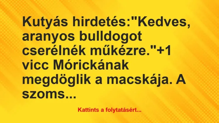 Vicc: Kutyás hirdetés:

“Kedves, aranyos bulldogot cserélnék műkézre.”