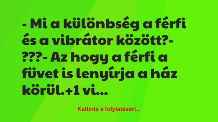 Vicc: – Mi a különbség a férfi és a vibrátor között?

– ???

– Az…