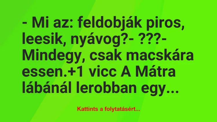 Vicc: – Mi az: feldobják piros, leesik, nyávog?

– ???

– Mindegy,…