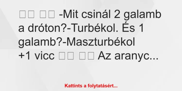 Vicc:
-Mit csinál 2 galamb a dróton?-Turbékol. És 1…