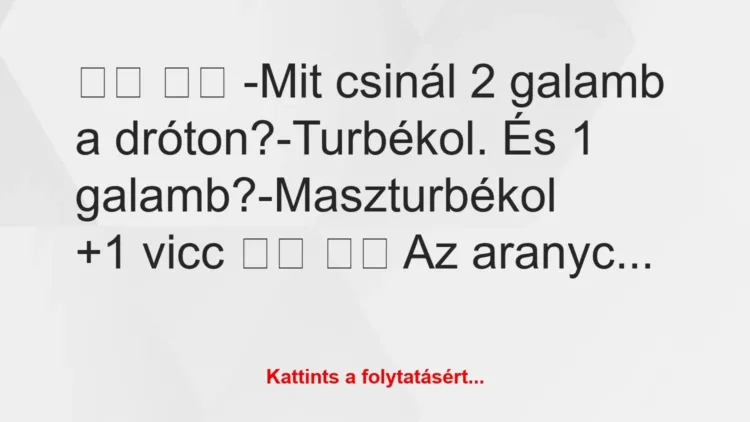 Vicc: 
		  
		  -Mit csinál 2 galamb a dróton?-Turbékol. És 1…