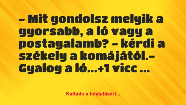 Vicc: – Mit gondolsz melyik a gyorsabb, a ló vagy a postagalamb? – kérdi a…