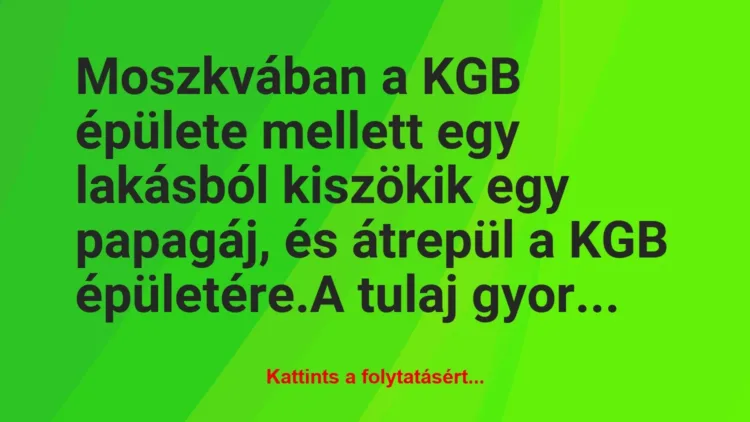 Vicc: Moszkvában a KGB épülete mellett egy lakásból kiszökik egy papagáj, és…