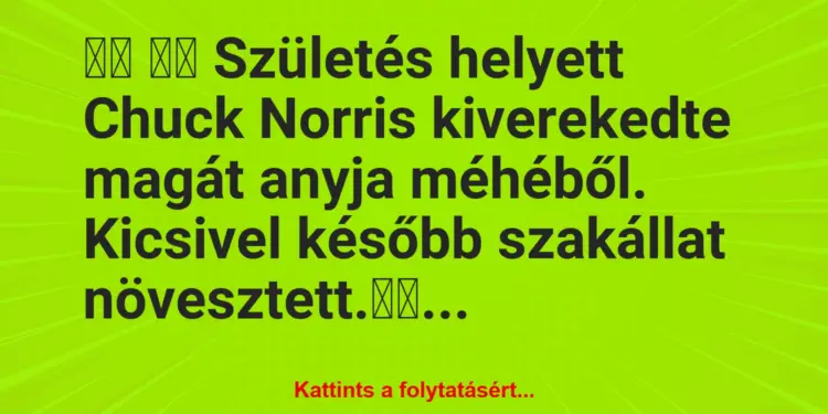 Vicc:
Születés helyett Chuck Norris kiverekedte magát…