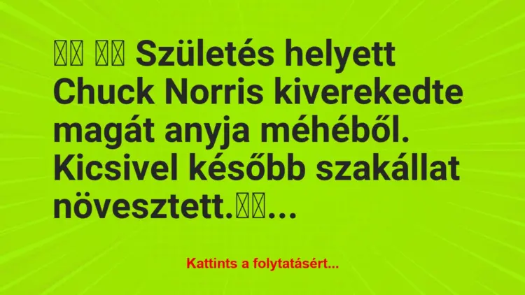 Vicc:
Születés helyett Chuck Norris kiverekedte magát…